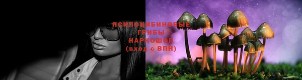 кокс Беломорск