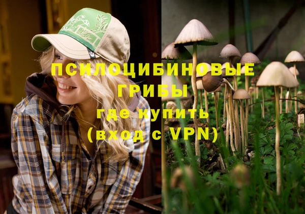 кокс Беломорск
