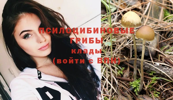 кокс Беломорск