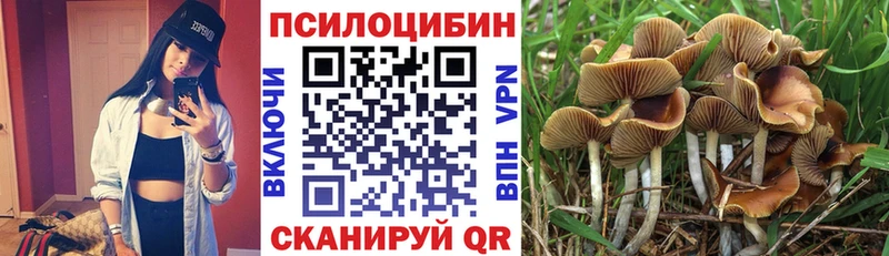 Псилоцибиновые грибы ЛСД  дарнет шоп  Зеленогорск 